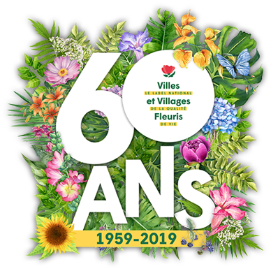 logo60ans