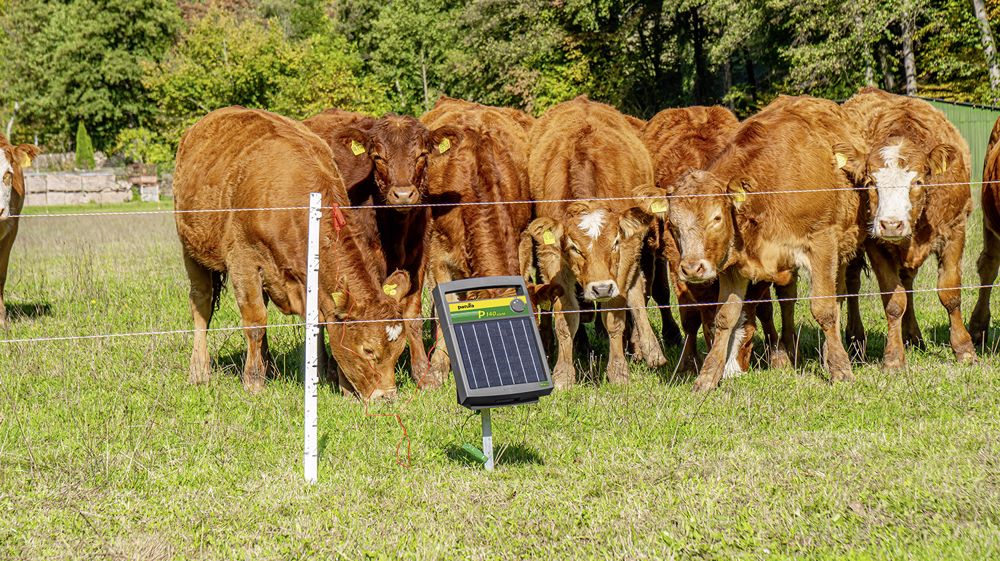 Les électrificateurs Patura gagnent en performance Les électrificateurs Patura gagnent en performance