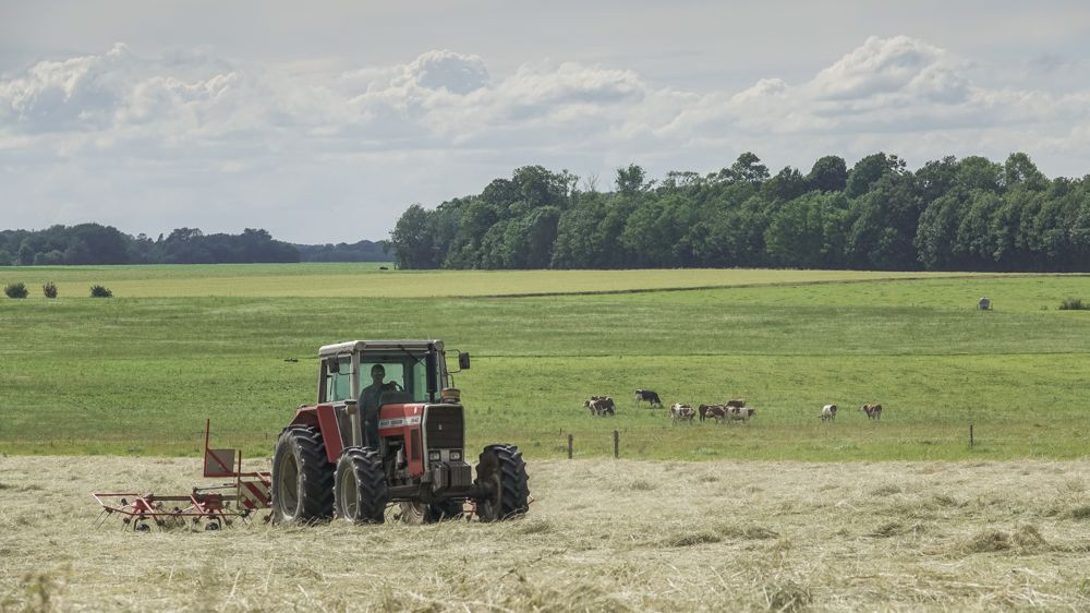 L’exploitation se situe à proximité des pâturages de l'éleveur, lequel dispose d’un minimum de matériels. L’exploitation se situe à proximité des pâturages de l'éleveur, lequel dispose d’un minimum de matériels.