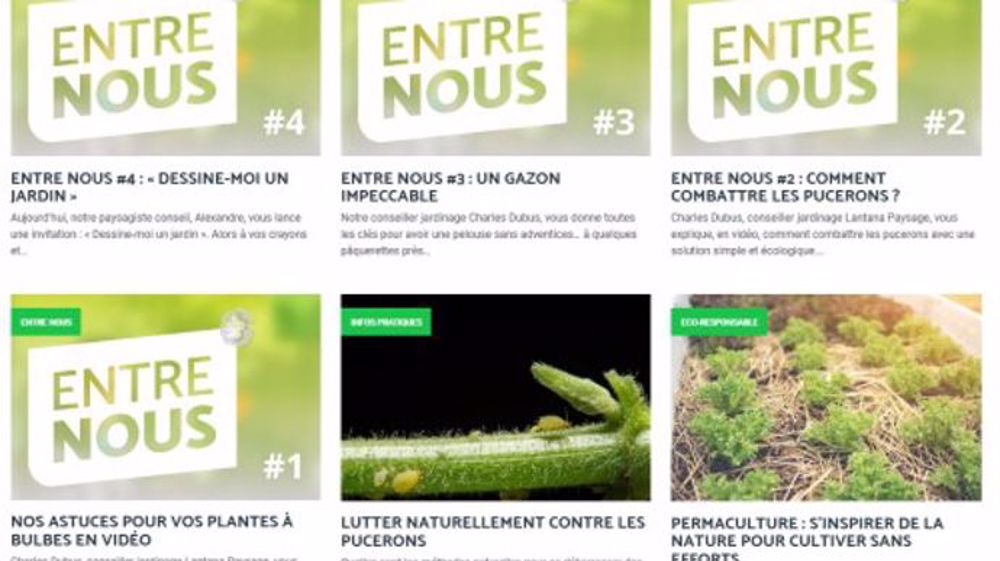 Lantana : des vidéos pour conseiller les clients confinés