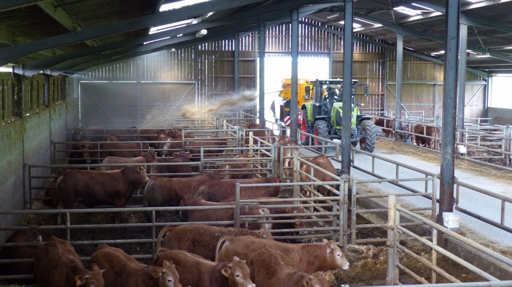 Pailleuse Bélair Brick 2298 : Dénicher la perle rare