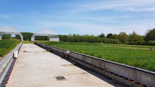 Station d'essai située à  l'université de Copenhague et sur laquelle est installée le dispositif Radimax servant à tester la tolérance des gazons à la sécheresse. 