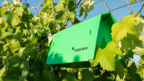 Kubota investit dans la surveillance des parasites Kubota investit dans la surveillance des parasites