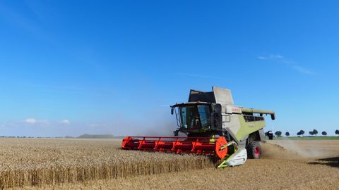 La Lexion 6700 de notre essai était équipée du train de chenilles Terra Trac favorisant la traction et limitant la compaction du sol ainsi que le gabarit de la machine sur la route. La Lexion 6700 de notre essai était équipée du train de chenilles Terra Trac favorisant la traction et limitant la compaction du sol ainsi que le gabarit de la machine sur la route.