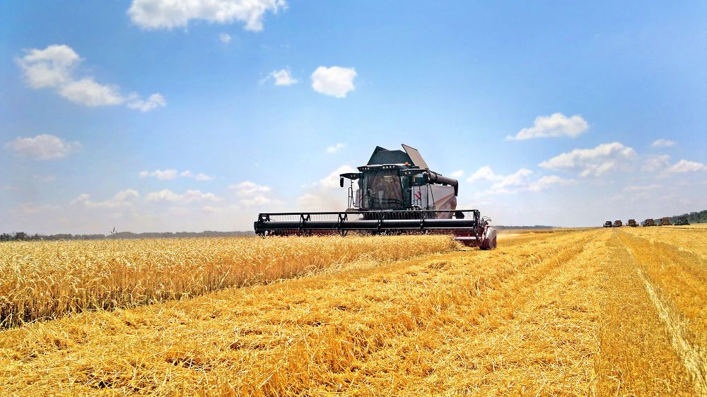 La Russie marque des points à l’export La Russie marque des points à l’export