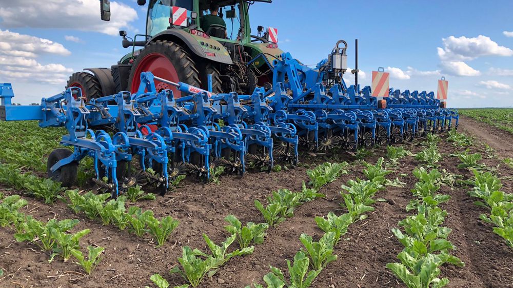 Des bineuses Monosem très polyvalentes