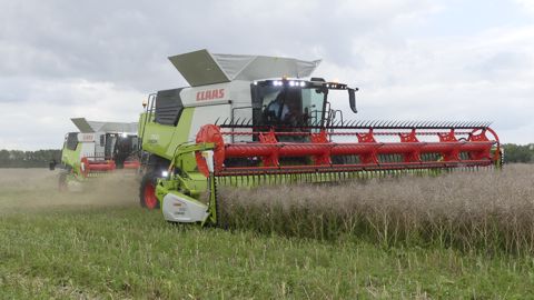 Essai moissonneuse-batteuse Claas Trion 750 : dans le sillage de la Lexion Essai moissonneuse-batteuse Claas Trion 750 : dans le sillage de la Lexion