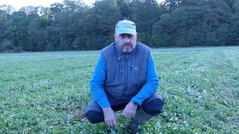 « Une bonne colonisation des plantes compagnes s’avère indispensable » « Une bonne colonisation des plantes compagnes s’avère indispensable »