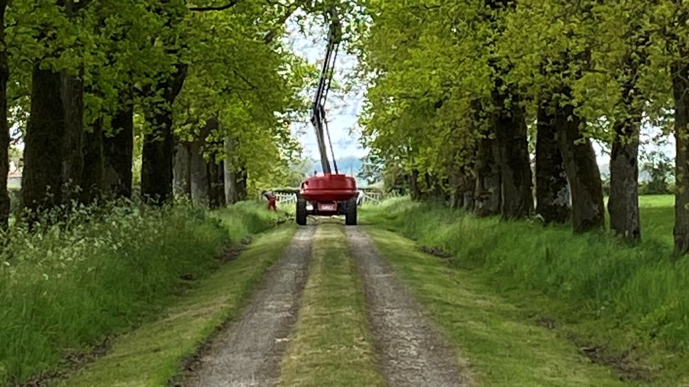 L'allée de chênes du château de la Bressaire (Foussais-Payré en Vendée) a été primée lors de la  6ème édition du prix "Allées d’arbres" de l’association Sites & Monuments. Le prix a été officiellement décerné le 30 octobre dernier au Salon International du Patrimoine Culturel.