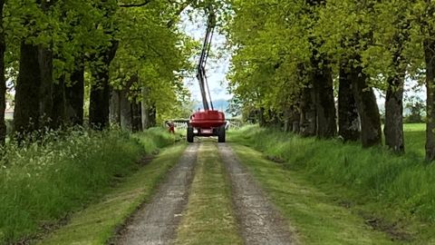 L'allée de chênes du château de la Bressaire (Foussais-Payré en Vendée) a été primée lors de la 6ème édition du prix "Allées d’arbres" de l’association Sites & Monuments. Le prix a été officiellement décerné le 30 octobre dernier au Salon International du Patrimoine Culturel. L'allée de chênes du château de la Bressaire (Foussais-Payré en Vendée) a été primée lors de la 6ème édition du prix "Allées d’arbres" de l’association Sites & Monuments. Le prix a été officiellement décerné le 30 octobre dernier au Salon International du Patrimoine Culturel.