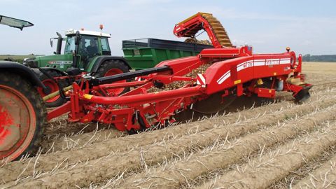 Grimme GT 170 : une arracheuse pour tous les budgets Grimme GT 170 : une arracheuse pour tous les budgets