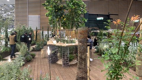 Hélène Pépin : une ode aux plantes comestibles Hélène Pépin : une ode aux plantes comestibles