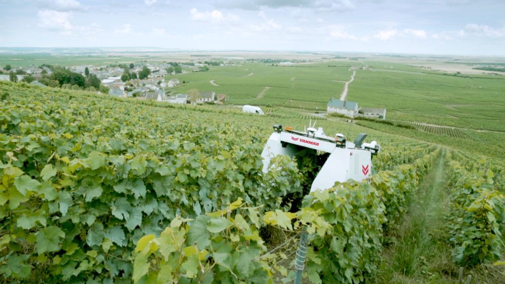 Le robot enjambeur Yanmar pulvérise les vignes Le robot enjambeur Yanmar pulvérise les vignes