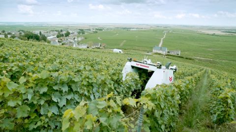 Le robot enjambeur Yanmar pulvérise les vignes Le robot enjambeur Yanmar pulvérise les vignes
