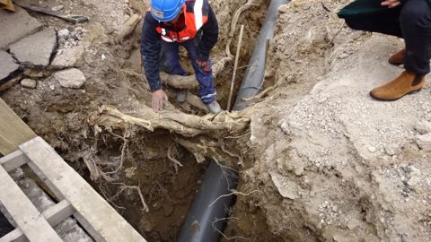 Le système racinaire d’un arbre peut parfois être présent lors d’une intervention sur des réseaux enterrés. Le système racinaire d’un arbre peut parfois être présent lors d’une intervention sur des réseaux enterrés.