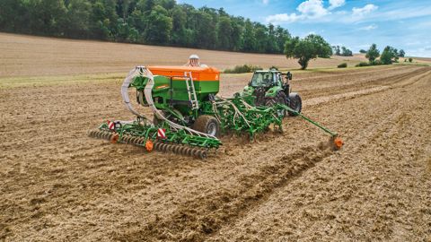 Le semoir direct Amazone Primera en version économique Le semoir direct Amazone Primera en version économique
