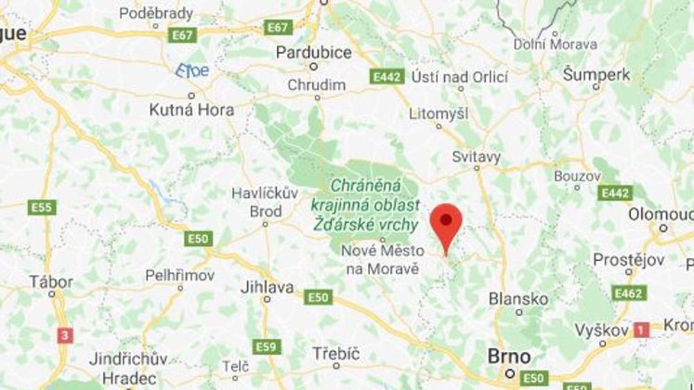 La grippe aviaire réapparaît en République tchèque