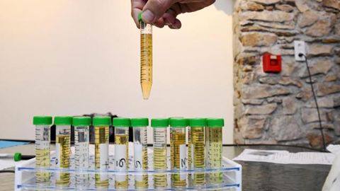 Des « pisseurs » de glyphosate refusent un test comparatif Des « pisseurs » de glyphosate refusent un test comparatif