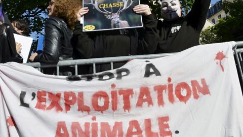 La lutte contre l’agribashing agace des chercheurs La lutte contre l’agribashing agace des chercheurs