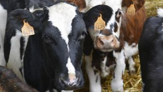 Vers une année 2020 plus favorable ? Vers une année 2020 plus favorable ?
