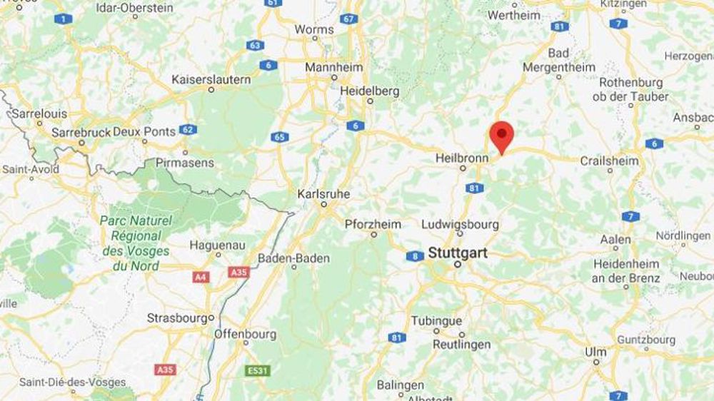 Une basse-cour infectée par le virus H5N8 en Allemagne