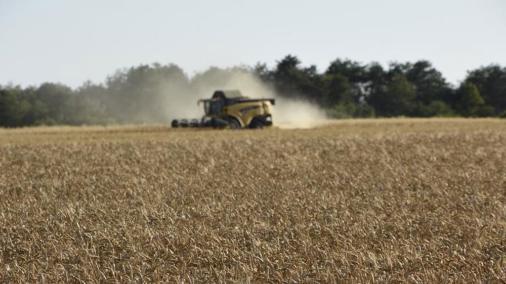 2020, l’année des records pour les céréales ?