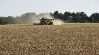 2020, l’année des records pour les céréales ? 2020, l’année des records pour les céréales ?