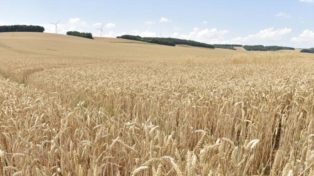 Chute des prix mondiaux en février