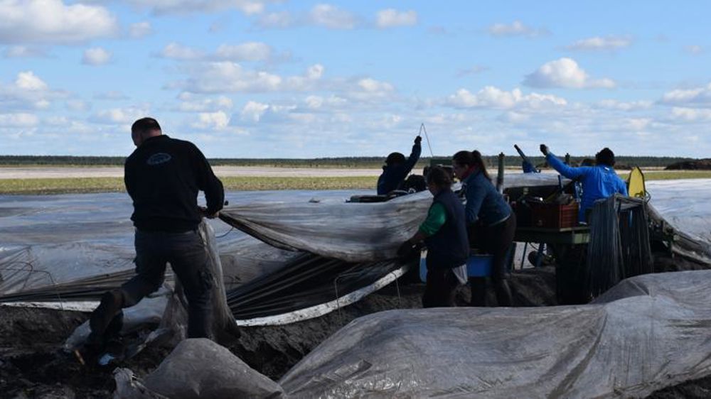 Les offres de recrutement de saisonniers gratuites sur le site Jobagri