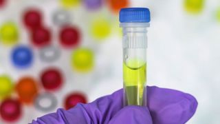 Les laboratoires vétérinaires autorisés à dépister Les laboratoires vétérinaires autorisés à dépister