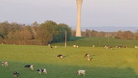 Pas de confinement dans les fermes Pas de confinement dans les fermes