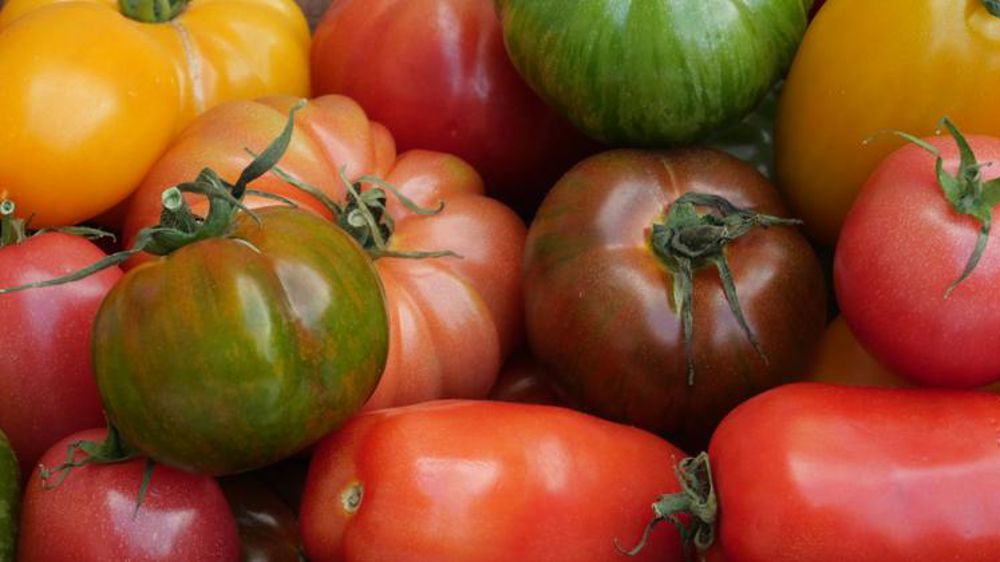 Demain la Terre renforce sa charte