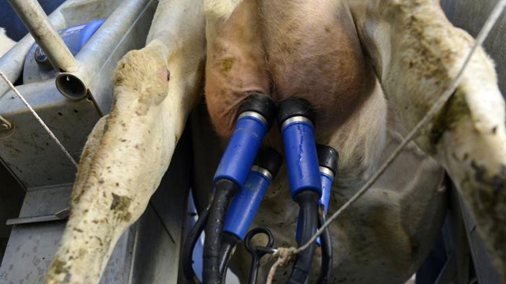 Le prix du lait se replie sensiblement