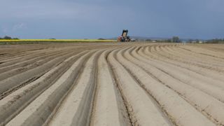 Baisse « insuffisante » des surfaces de pomme de terre Baisse « insuffisante » des surfaces de pomme de terre