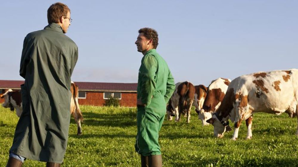 La télémédecine vétérinaire en expérimentation