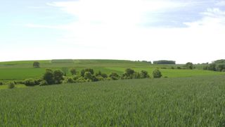 Le blé dur se rattrape Le blé dur se rattrape