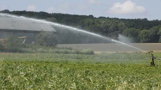 L’Europe vote pour l’irrigation par les eaux usées L’Europe vote pour l’irrigation par les eaux usées