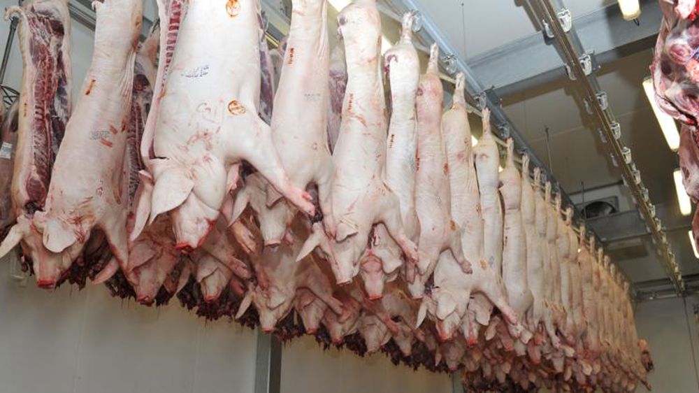 Les prix agricoles progressent