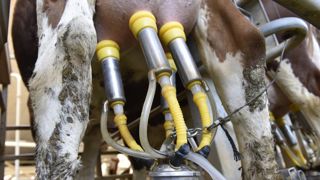 Le prix du lait poursuit sa chute en avril Le prix du lait poursuit sa chute en avril