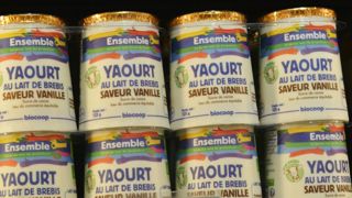 Le marché confidentiel du lait bio de chèvre et brebis Le marché confidentiel du lait bio de chèvre et brebis