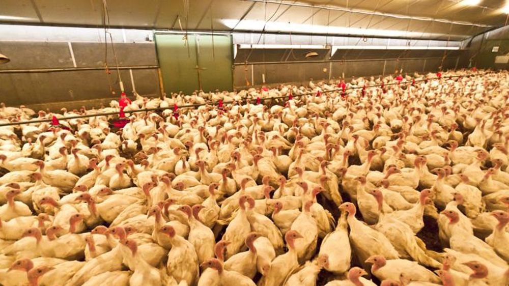 Greenpeace fait son mea-culpa… mais en remet une couche