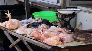 La Chine veut bannir les volailles vivantes de ses marchés La Chine veut bannir les volailles vivantes de ses marchés