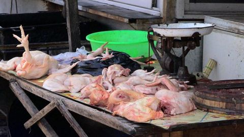 La Chine veut bannir les volailles vivantes de ses marchés La Chine veut bannir les volailles vivantes de ses marchés