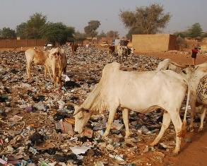 famine
