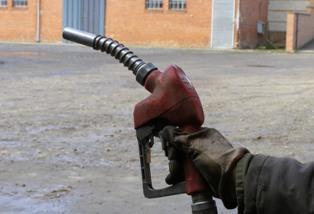 carburant graisse canard