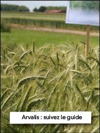 Le dossier spécial variétés de céréales a été mis à jour avec les résultats d'essais Arvalis-Institut du végétal