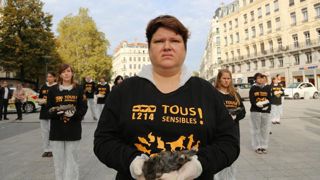 Maintien malgré les peurs de représailles des bouchers Maintien malgré les peurs de représailles des bouchers