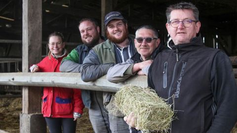 Le foin alimentaire, leur « botte secrète » Le foin alimentaire, leur « botte secrète »