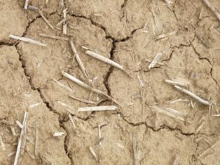 La réserve hydrique des sols ukrainiens a atteint son plus bas niveau depuis 10 ans.