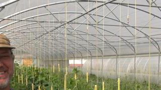 Éviter les échecs grâce aux « espaces-test agricoles » Éviter les échecs grâce aux « espaces-test agricoles »